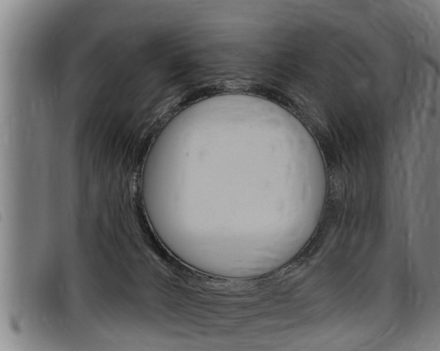 X0000098110032200804040811
