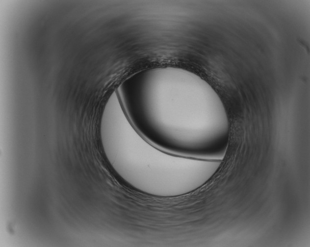 X0000098110039200804040811