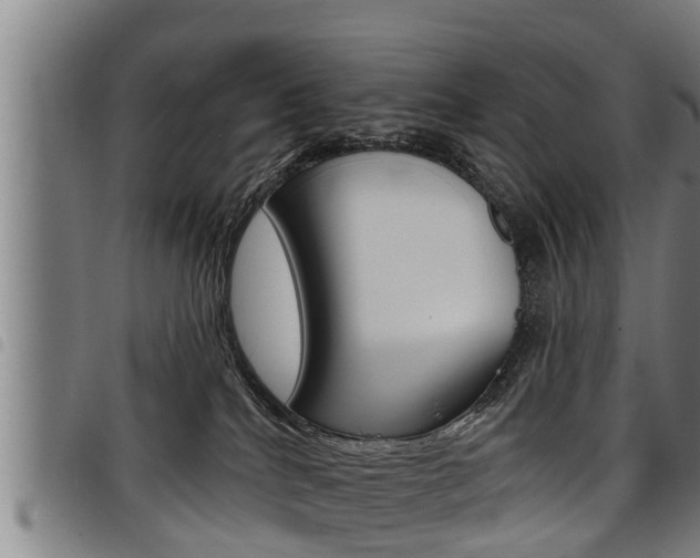 X0000098110040200804040811