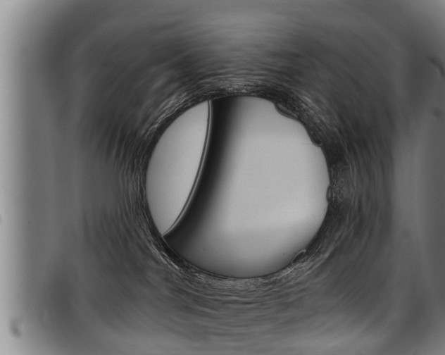 X0000098110044200804040811