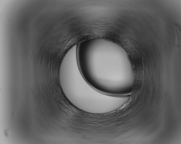 X0000098110045200804040811