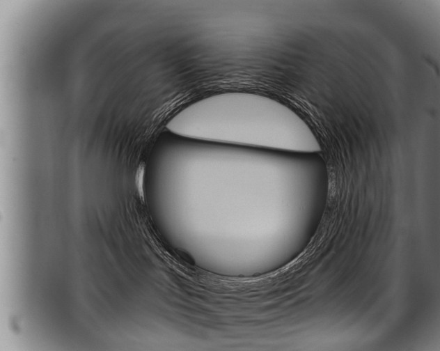 X0000098110047200804040811