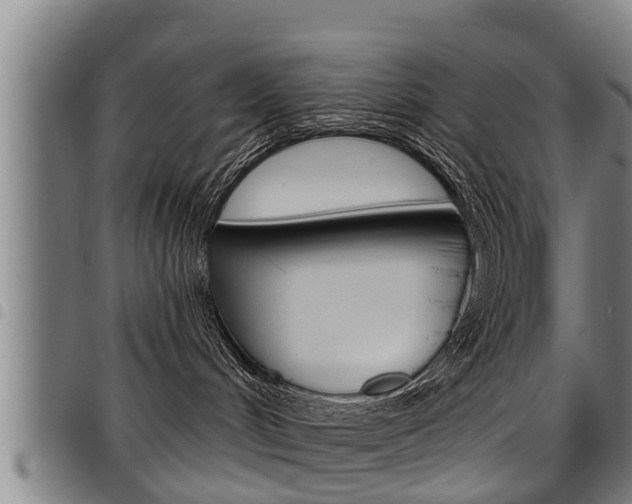 X0000098110048200804040811