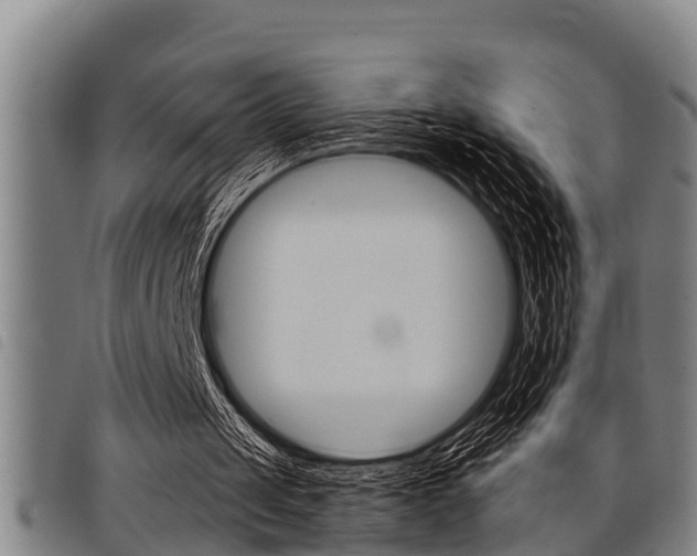 X0000098110049200804040810