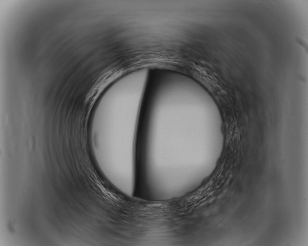 X0000098110050200804040810