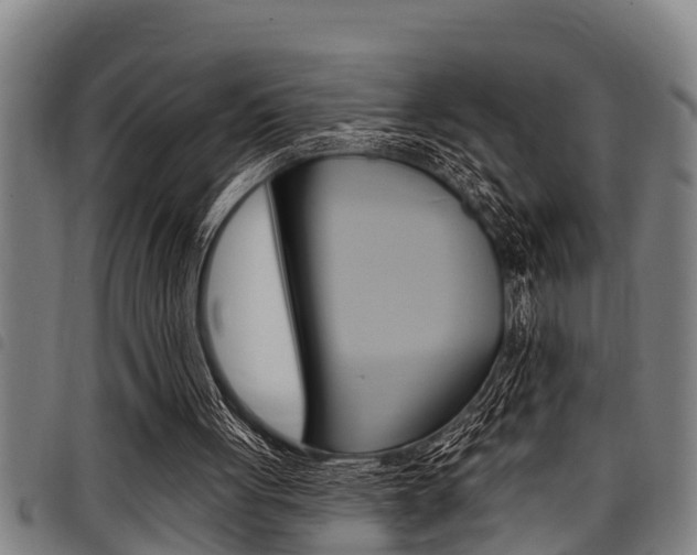 X0000098110051200804040810