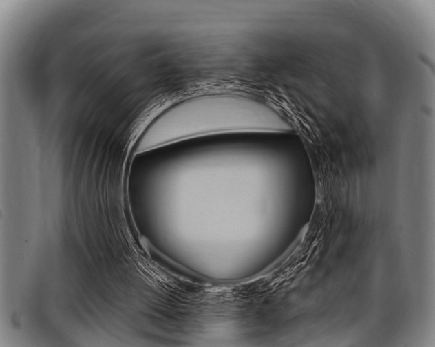 X0000098110052200804040810