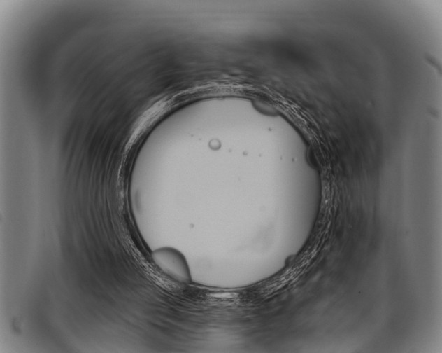 X0000098110053200804040810