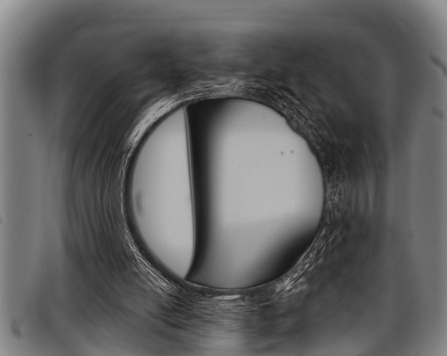 X0000098110054200804040810