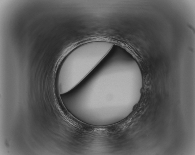 X0000098110055200804040810