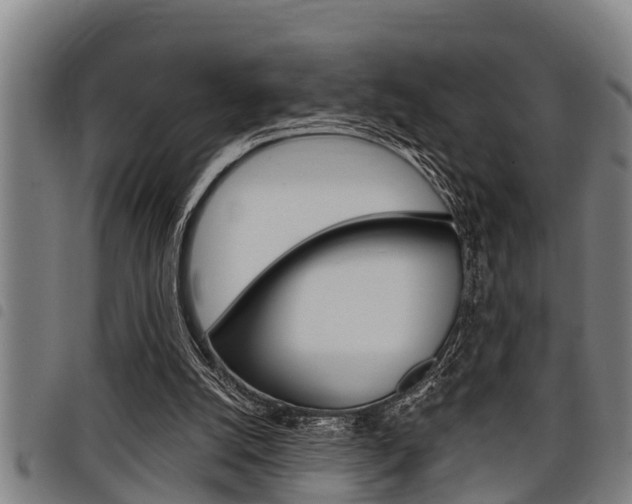 X0000098110056200804040810