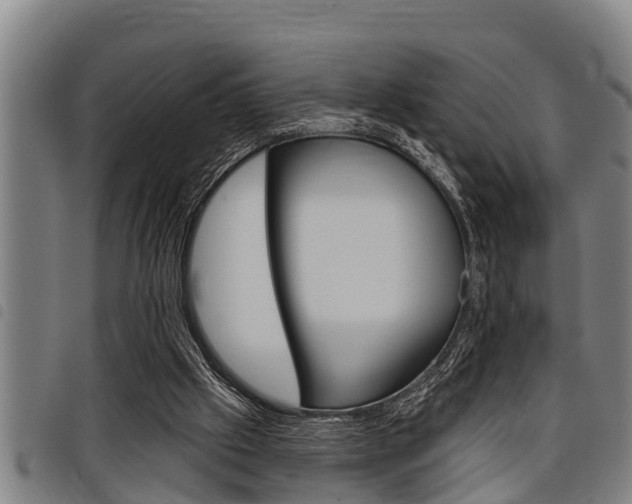 X0000098110057200804040810