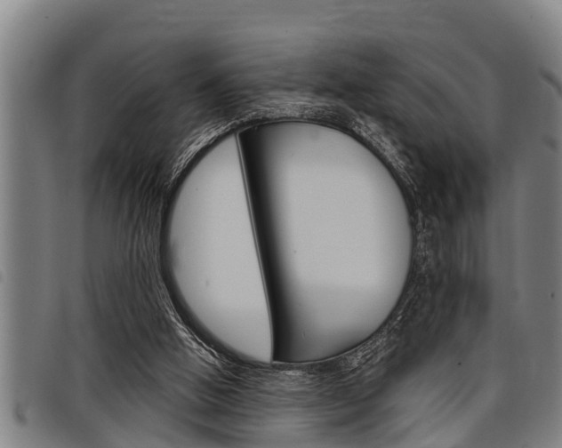 X0000098110058200804040810
