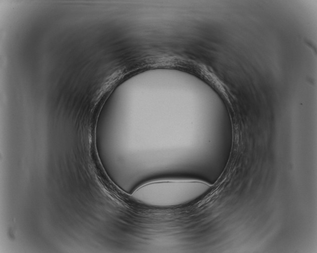 X0000098110059200804040810
