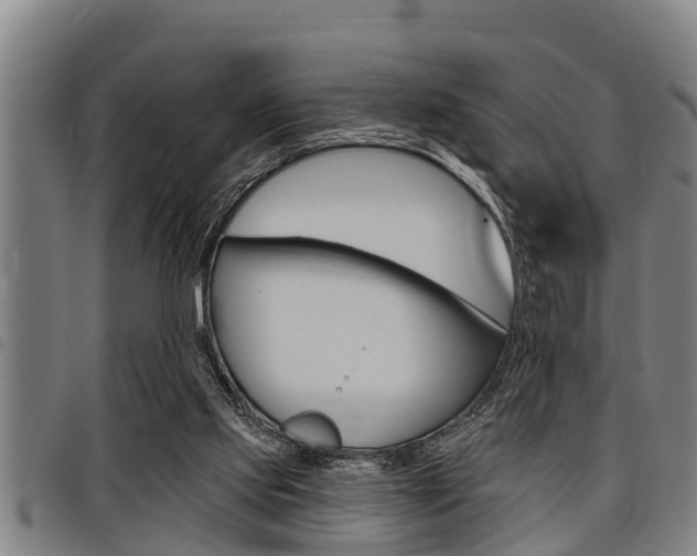 X0000098110061200804040810