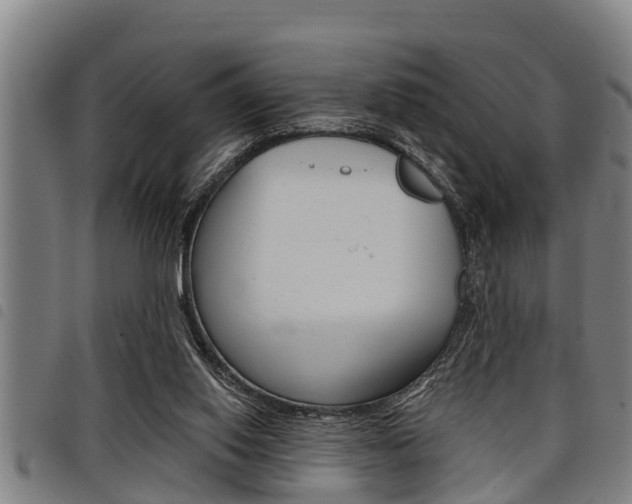 X0000098110062200804040810