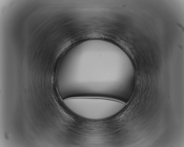 X0000098110063200804040810