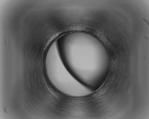 X0000098110064200804040810