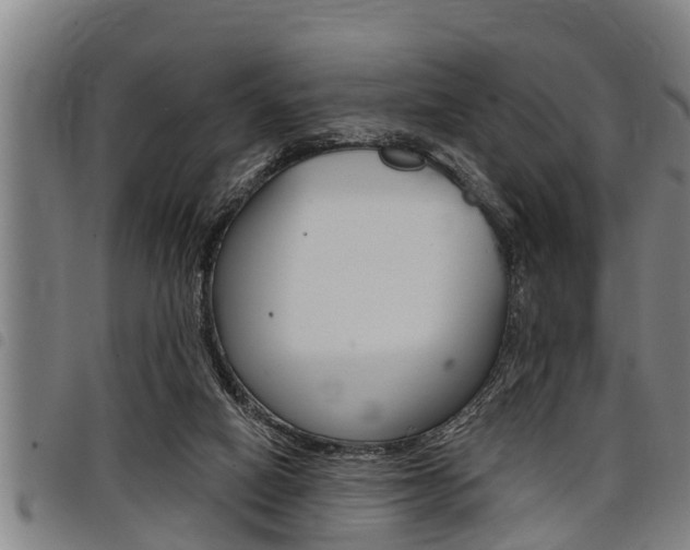 X0000098110066200804040810