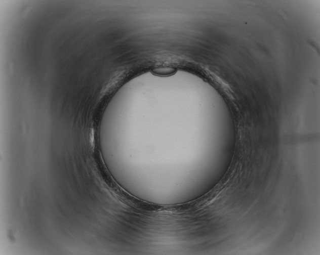 X0000098110067200804040810
