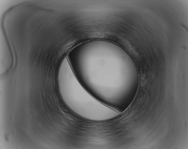 X0000098110068200804040810