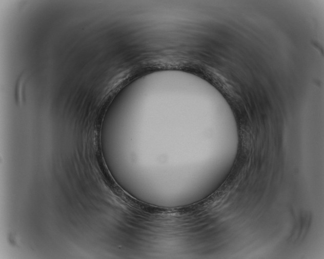 X0000098110071200804040810