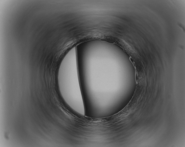 X0000098110072200804040810