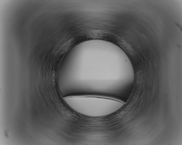X0000098110073200804040810