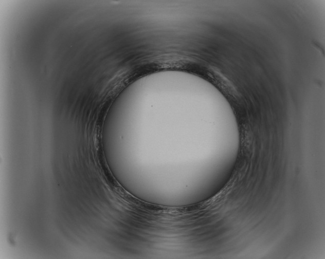 X0000098110074200804040810