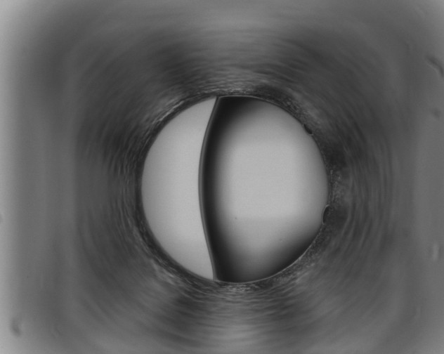 X0000098110076200804040810
