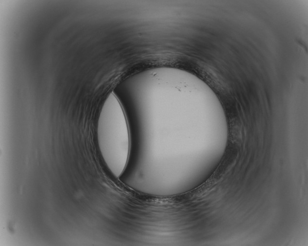X0000098110077200804040810