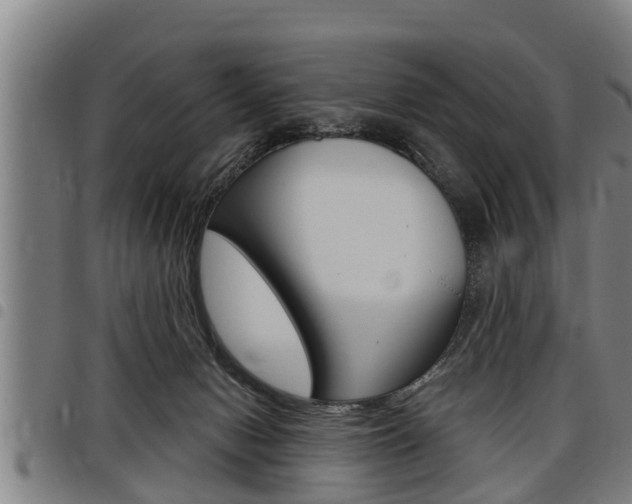 X0000098110078200804040810