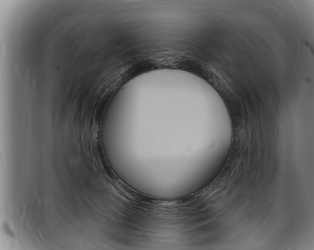 X0000098110081200804040810