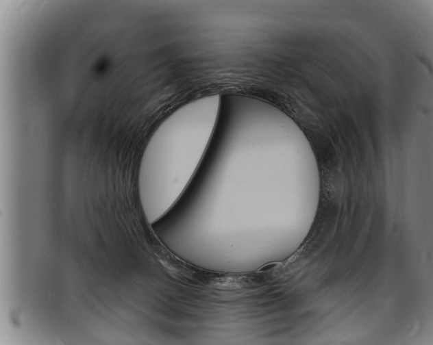 X0000098110082200804040810