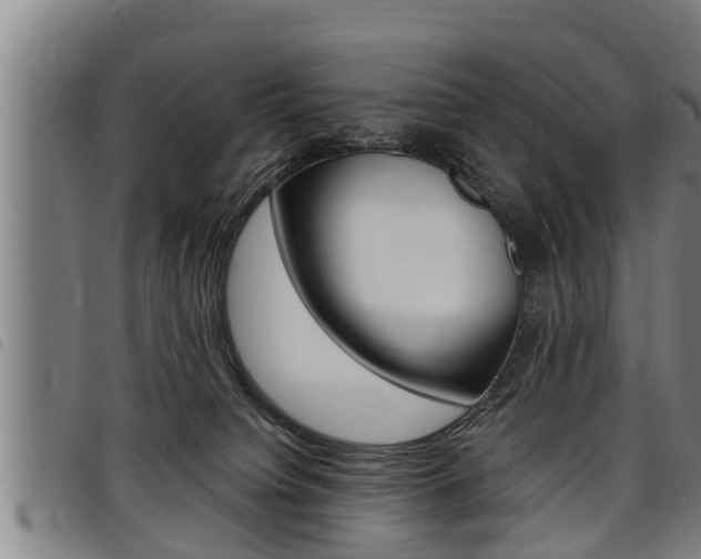 X0000098110084200804040810