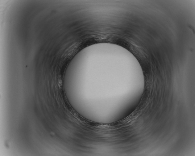 X0000098110085200804040810