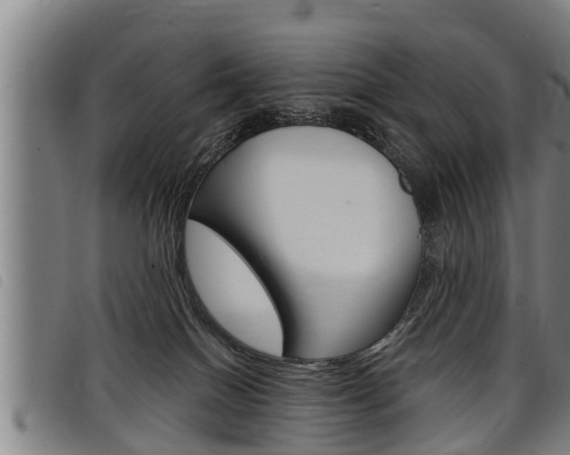 X0000098110086200804040810