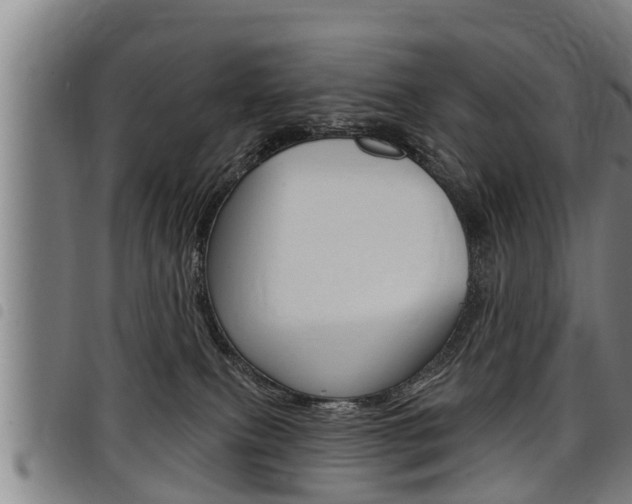 X0000098110087200804040811