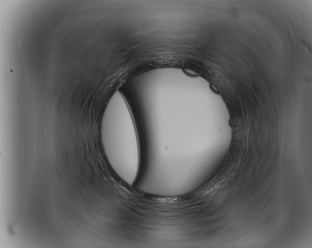 X0000098110089200804040811