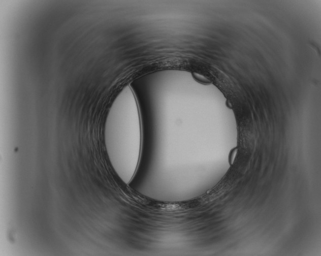 X0000098110091200804040811