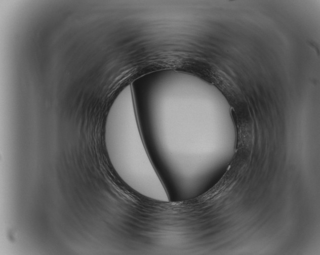 X0000098110092200804040811