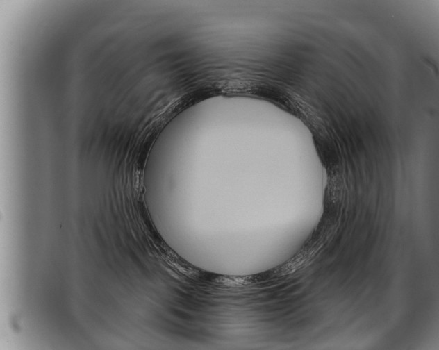 X0000098110093200804040811