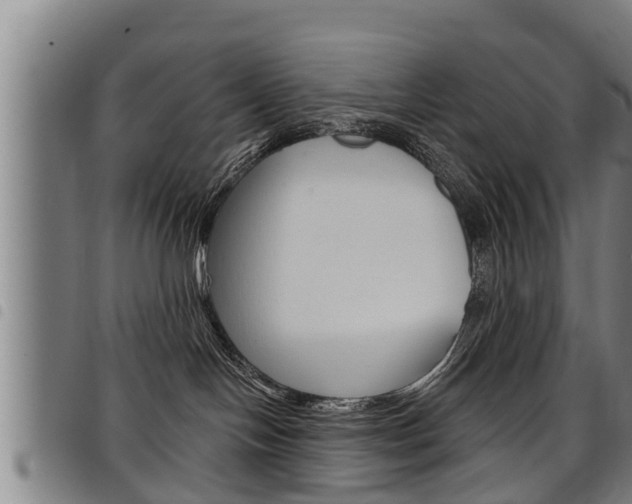 X0000098110094200804040811