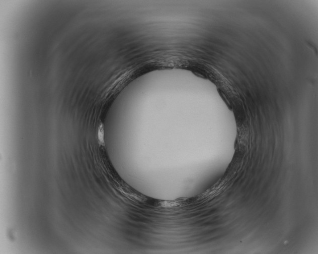 X0000098110095200804040811