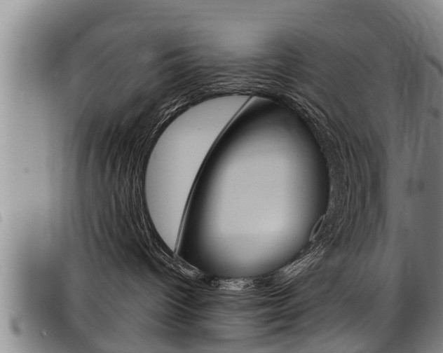 X0000098110096200804040811