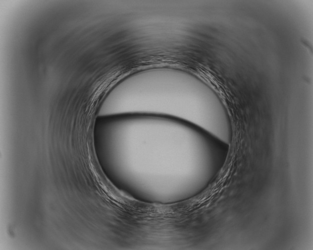 X0000098110097200804040810