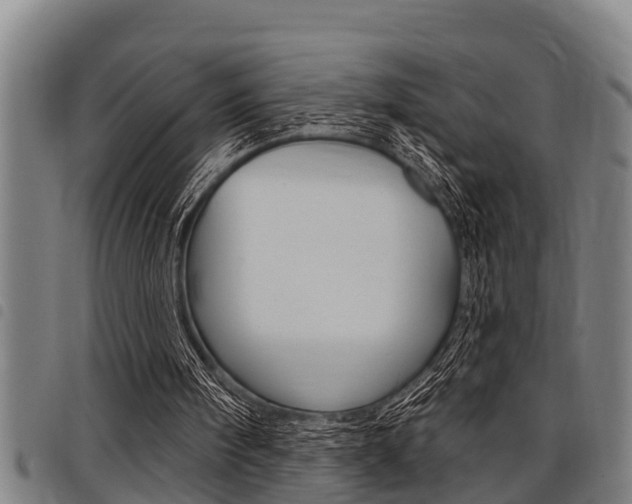 X0000098110098200804040810