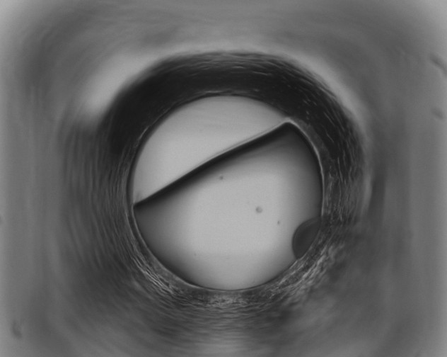 X0000098110099200804040810