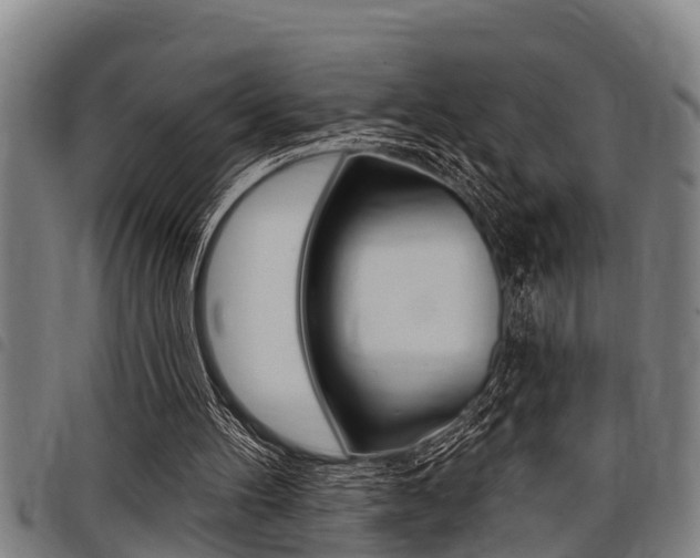 X0000098110100200804040810