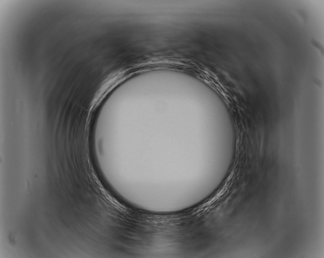 X0000098110101200804040810